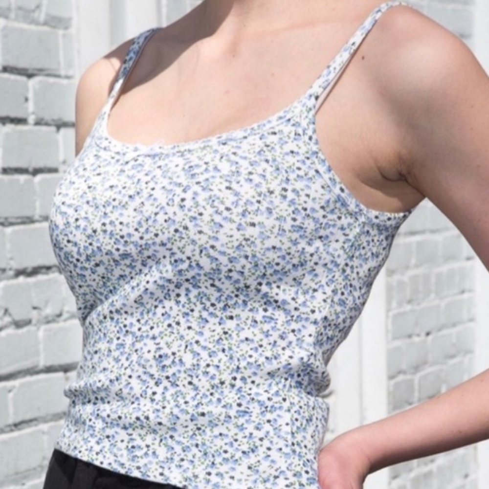 Brandy Melville Skylar Green and Blue Floral Crop Tank
